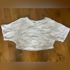 Wilfred by Aritzia Sheer Leaf Appliqué Crop Blouse – XXS